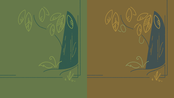Drawing Fall in Spring